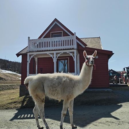 Sommerstue Hessdalen Eksteriør bilde
